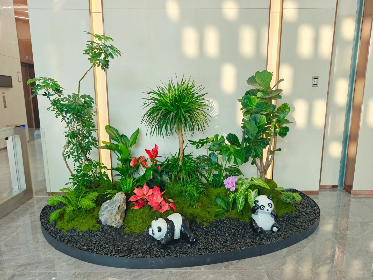 专业镇海植物租赁，给你专属绿色体验